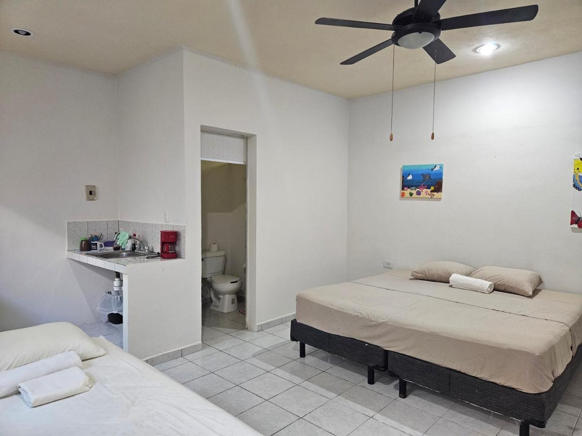 Auberge de jeunesse El Padrino à Akumal Extérieur photo